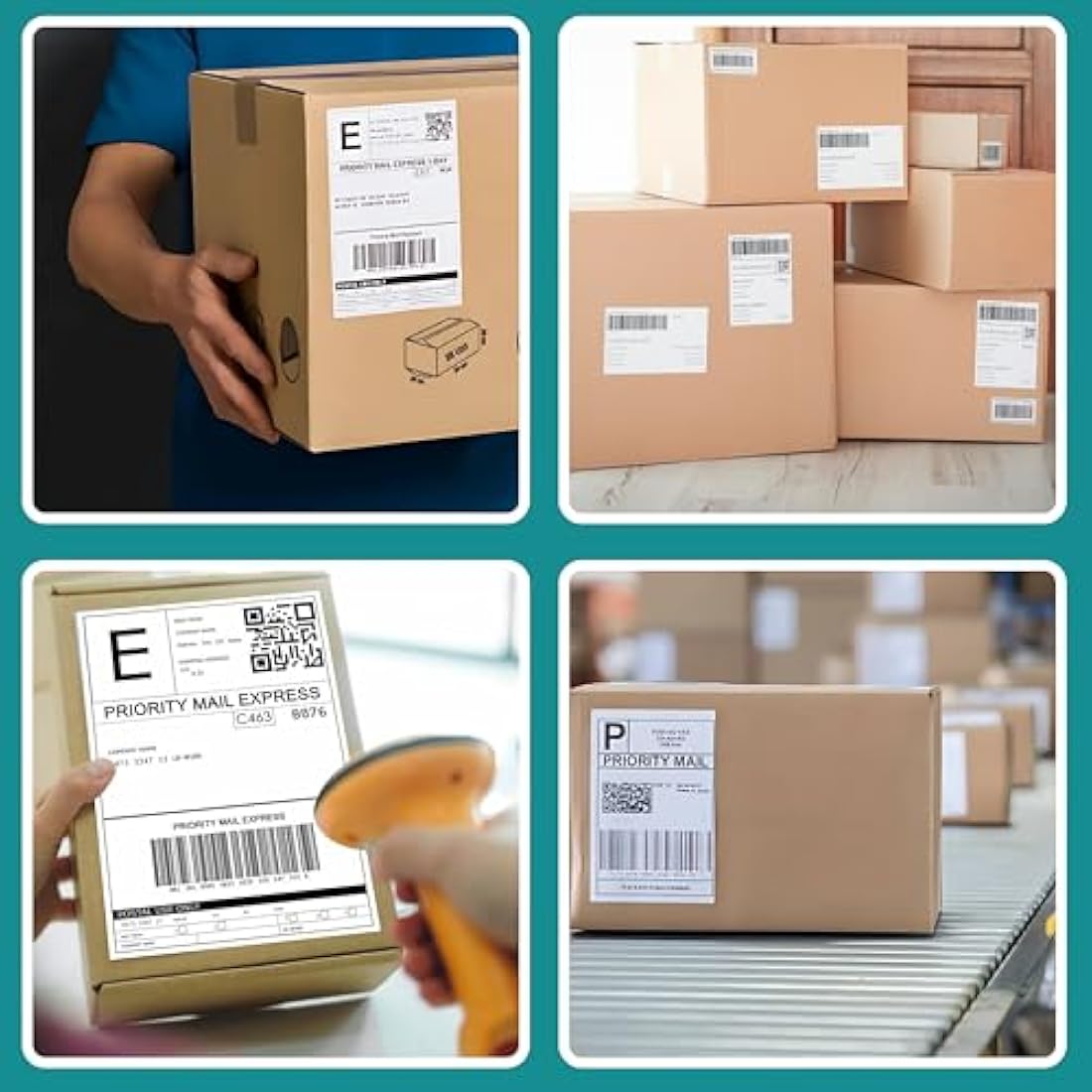 Double Dragon, 5 Rolls, 1,250 Premium Coated Direct Thermal Labels, 4” x 6”, 100x150mm, Self-Adhesive, Compatible with Zebra, MUNBYN, Rollo, TSC, Toshiba, Citizen, Direct Thermal Label Printer, GK420d