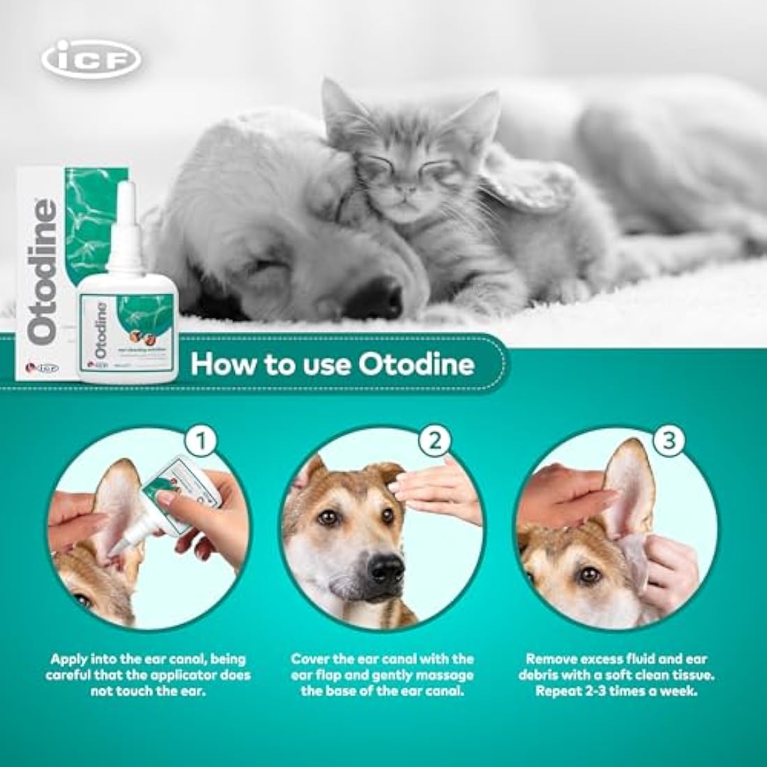 ICF Otodine | Cat & Dog Ear Cleaner Solution | Dog Ear Drops to Stop Wax Build Up, Head Shaking, Discomfort, Ear Odour & Scratching | 100ml