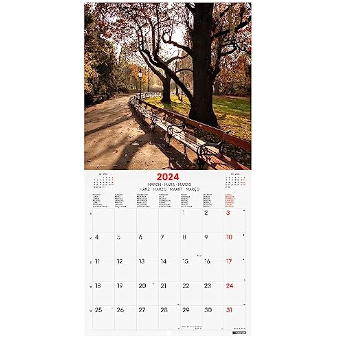 Finocam – Parks International Wall Photo Calendar 2024 January 2024 – December 2024 (12 months)