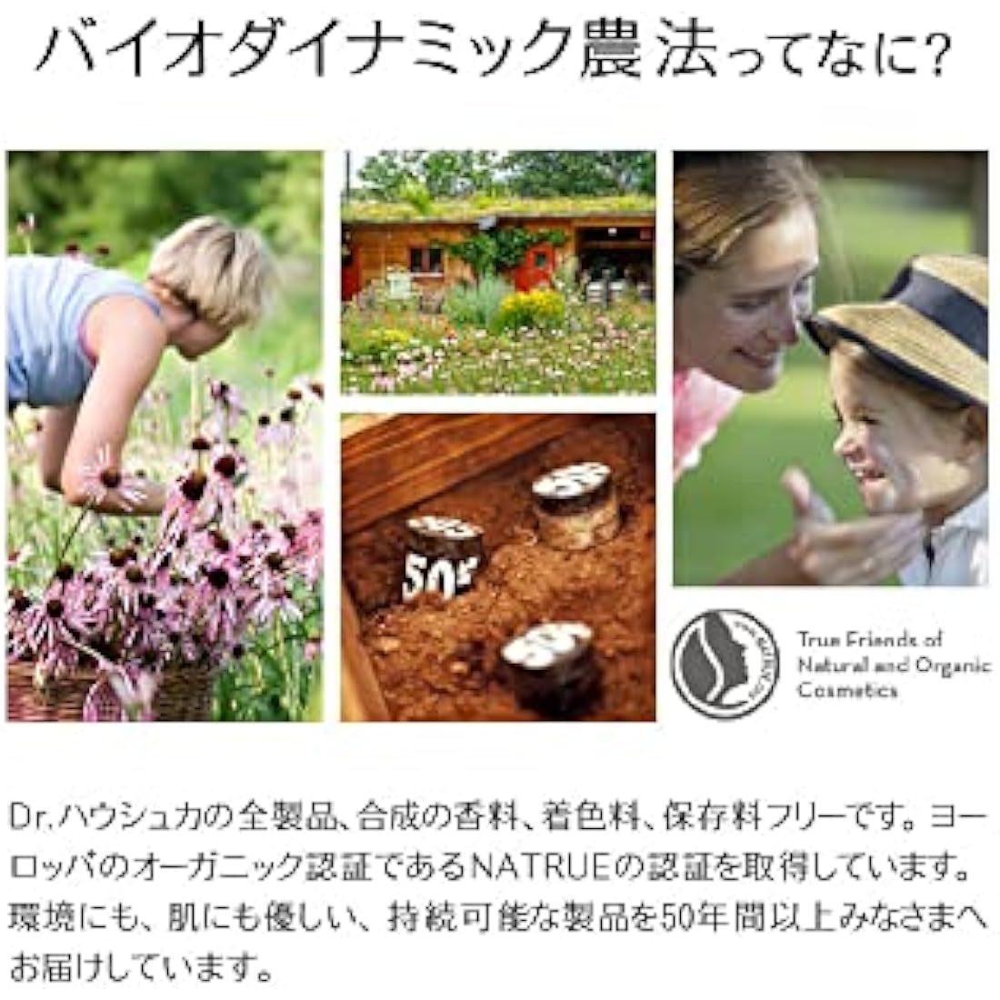 Dr. Hauschka Face Care