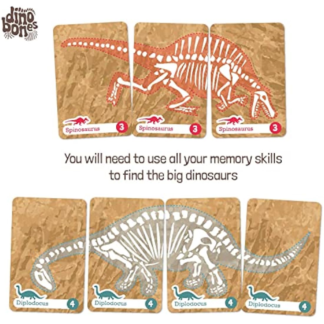 Hillcrest Games Dino Bones - Dinosaur Memory Game