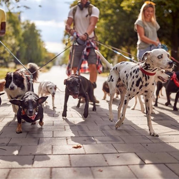Dog Poo Bags + Poo Bag Holder | Poo bags Eco with poo bags dispenser. Poo bags dog eco strong and durable. Perfect for small and large dogs. Poop Bags dog + Bags holder. Poo Bags with handles