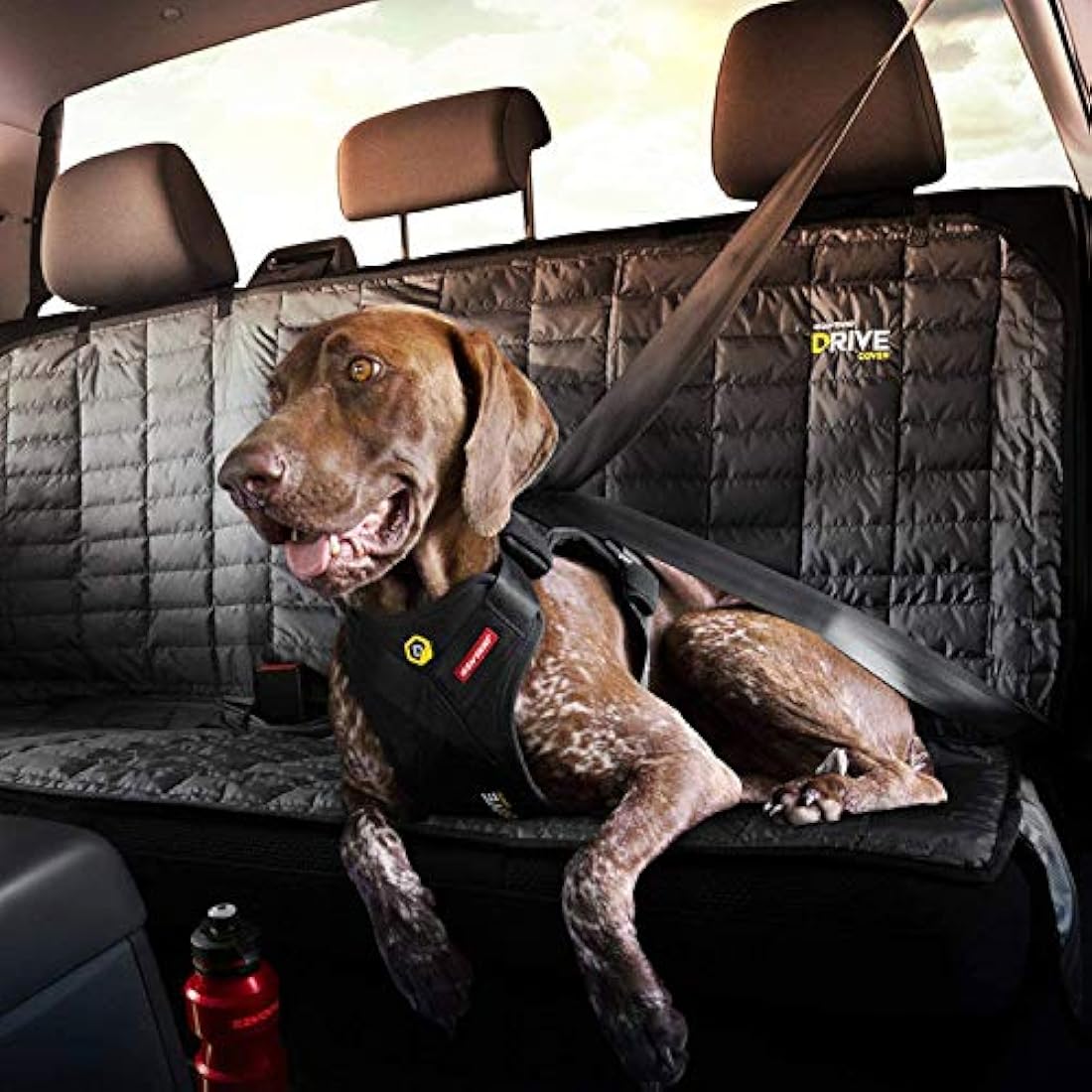 EZYDOG Drive Car Harness | Crash Tested, Rule 57 Compliant, Dog Car Harness & Car Restraint, Tested Up-To 75lb/34kg, Adjustable, No-Pull, Small, Medium and Large Dogs (Small)