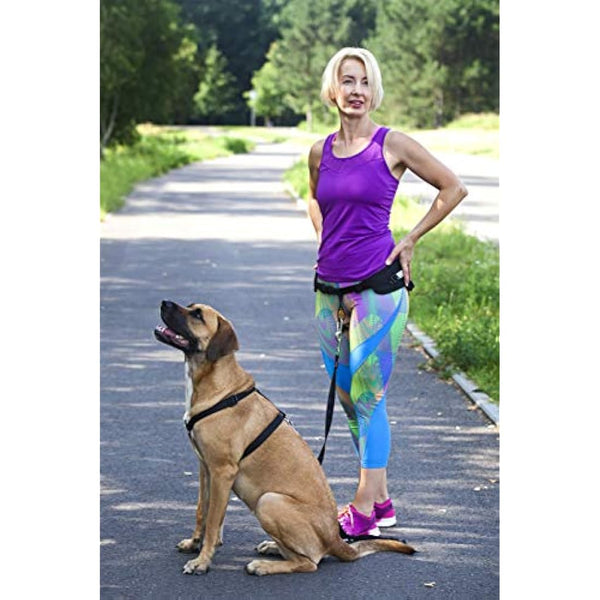 DINGO Canicross Belt 4-in-1 Universal, Adjustable, Safe, Reflective, Multifunctional, Hands-Free Dog Walking Belt for Running, Sports, Jogging, Training, Black (12780-2)