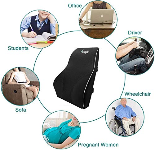 Feagar Lumbar Pillows Back Support Cushions Memory Foam Pillows for Car Seat Office Chair Home Sofa or Couch, Low Back Pillow Chair Cushions with