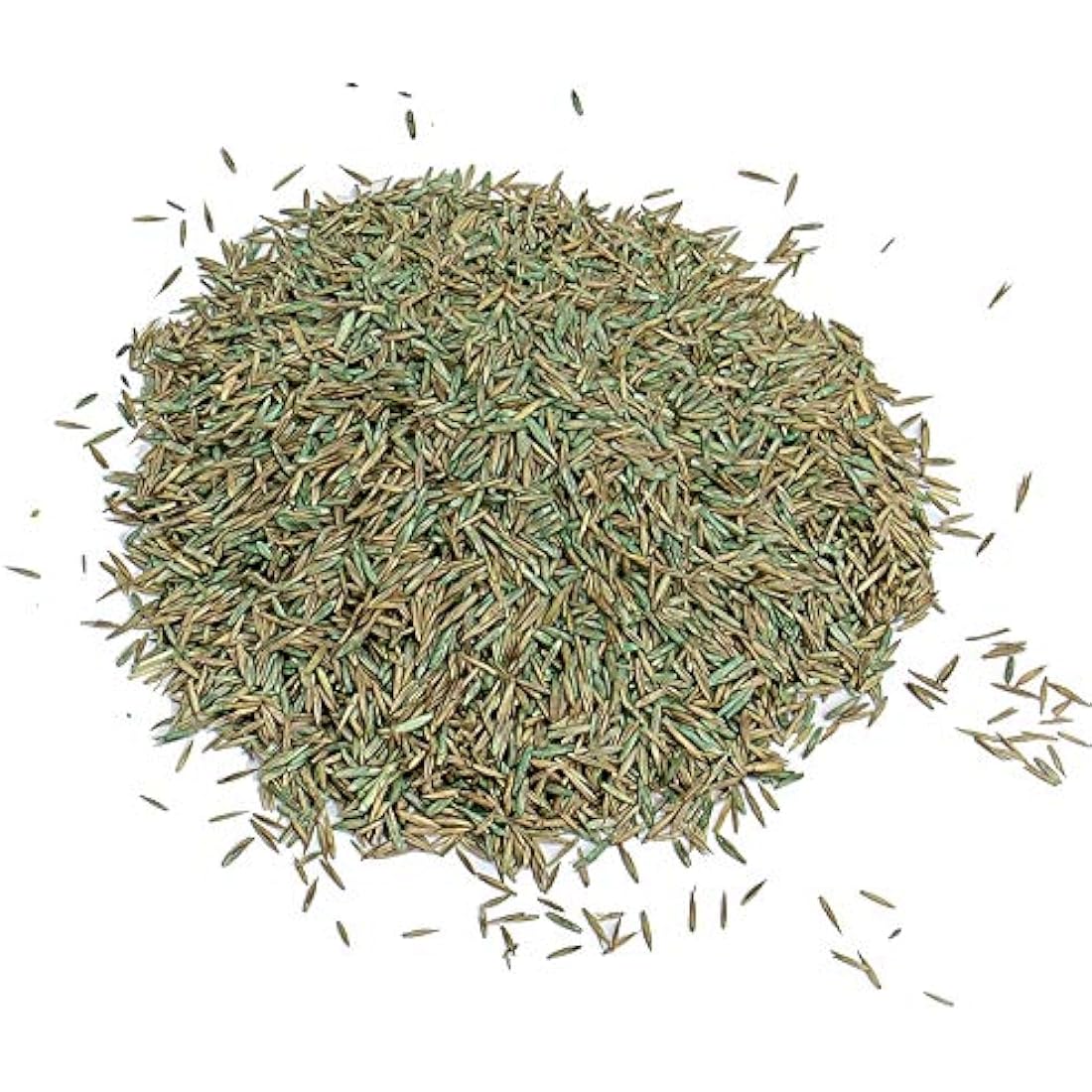 Gro-Sure 20500187 Fast Acting Grass Lawn Seed, 30 m2, 900 g, Blue,Green