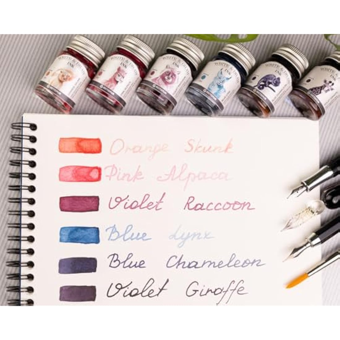 Horizon Octopus Write & Draw Ink Set - Waterproof Calligraphy & Drawing Ink for Fountain Pen, 6 x 10 ml