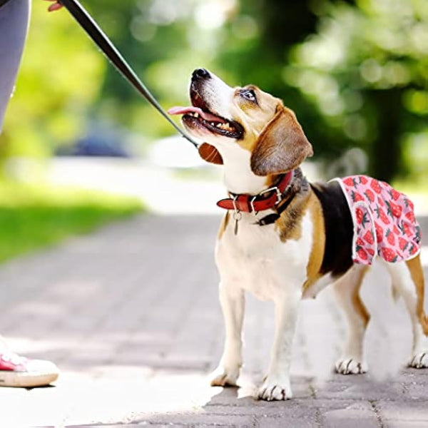 Medo 3 Packs Reusable Dog Nappies, Super Absorbent Washable Dog Diapers Puppy Sanitary Wraps Panties for Female Pet Incontinence and Long Travels 50-60 cm/19.7-23.6 inch (L), pink+blue+yellow