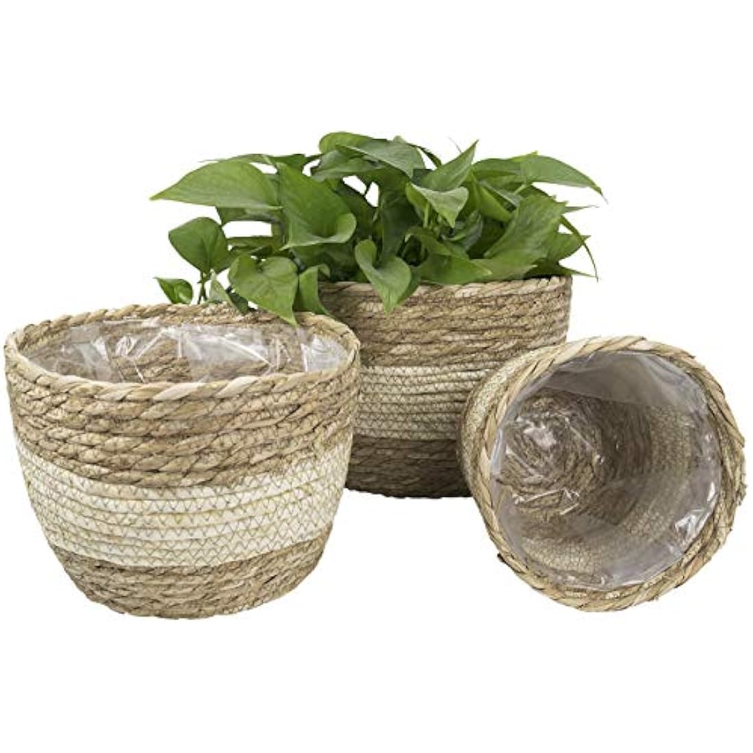 La Jolíe Muse Seagrass Planter Basket Indoor, Flower Pots Cover, Plant Containers, Beige(3-Pack)