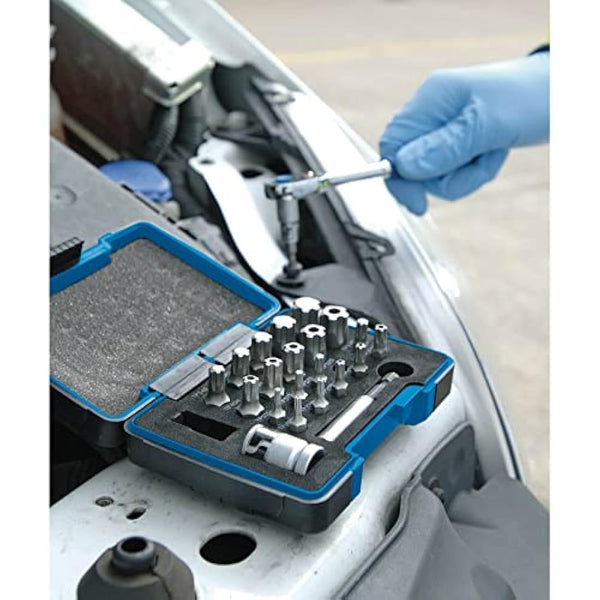 Draper 23241 Expert TX-Star Plus Insert Bit Set, 1/4"-3/8" Square Drive, 23 Pcs , Blue