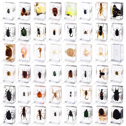48 Styles Insect in Resin Specimen, Bugs Collection Paperweights Animal Specimen for Kids Bug Preserved in Resin for Scientific Education Office Desk Christmas Display Supplies