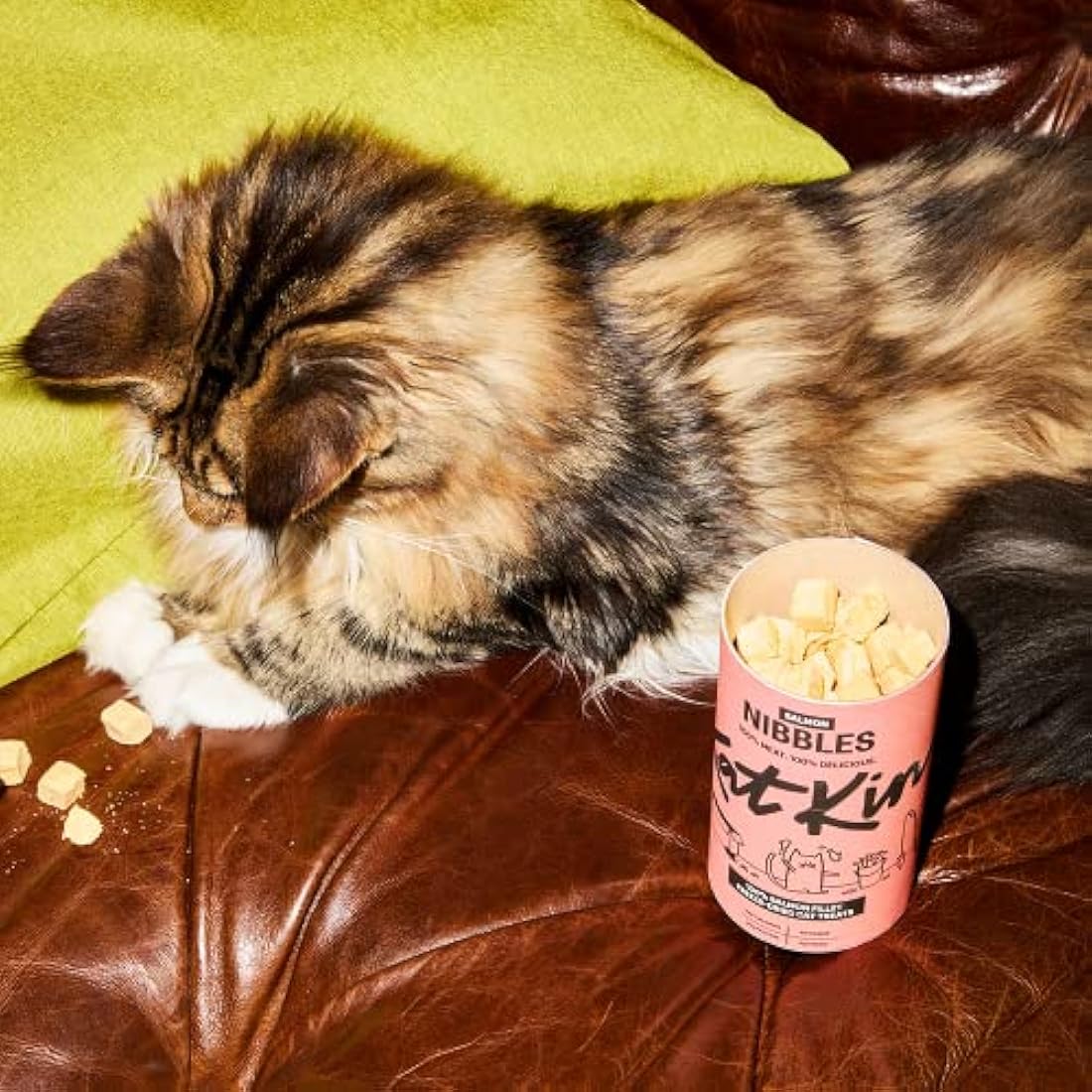 KatKin Salmon Nibbles (Pack of 4): 100% Salmon Fillet Freeze-Dried Cat Treats 50g – Delicious Fresh Salmon; Freeze-Dried to Protect Nutrition; Made in the UK for Cats and Kittens