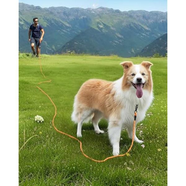 Joytale Training Leads for Dogs, Padded Handle Long Line Dog Lead, 5m 10m 15m 20m Long Leash for Training, Play, Camping, Backyard Tie Out, Orange, 5M