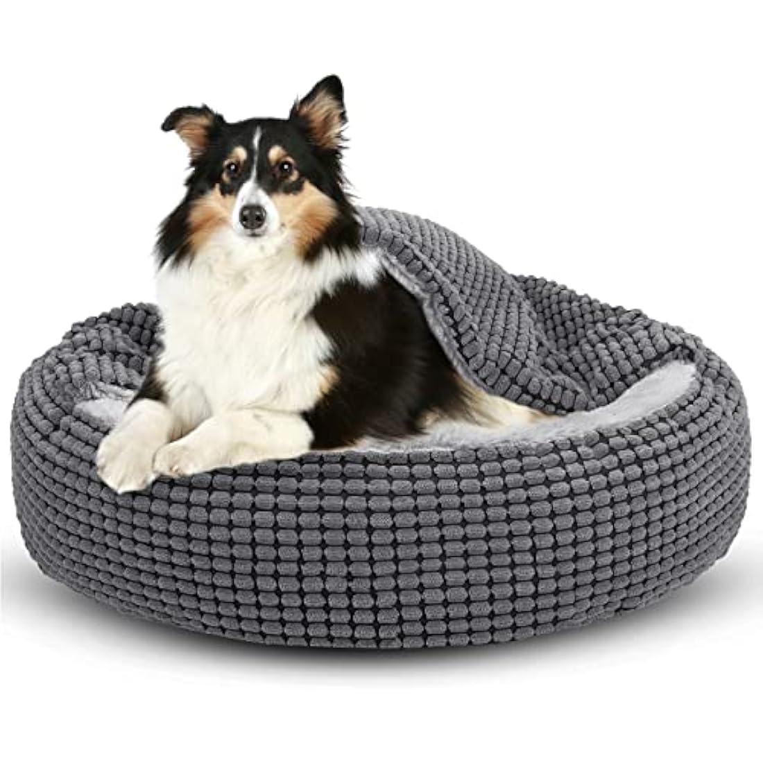 JOEJOY Round Dog Bed Calming Donut Cuddler Pet Bed for Large Medium Small Dogs, Warm Puppy Hooded Dog Cave Bed Cat Bed Medium Washable with Breathable Fluff, 31IN