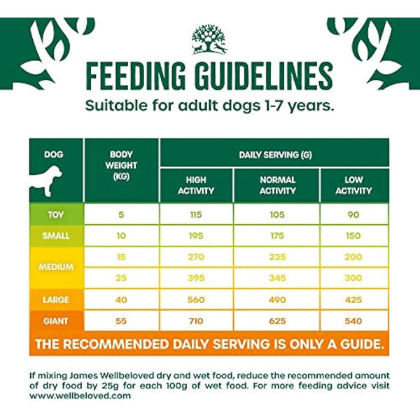 James Wellbeloved Adult Duck & Rice 15 kg Bag, Hypoallergenic Dry Dog Food