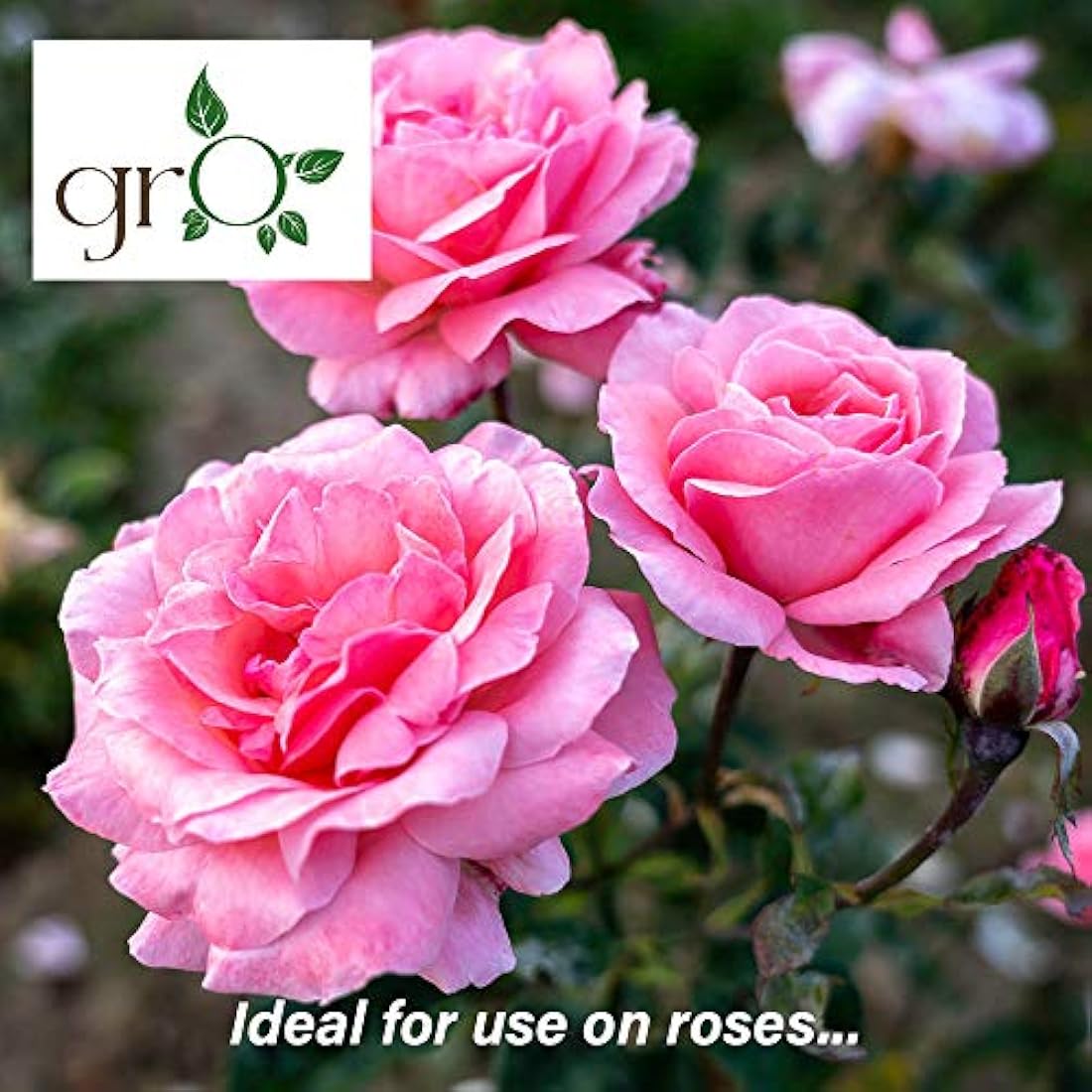 The Gro Company Gro Organic Top Soil Fertiliser - Perfect Soil Improver Enhancer, 100% Chemical Free Soil Feed for Growing, 00GRO