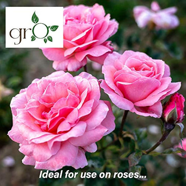 The Gro Company Gro Organic Top Soil Fertiliser - Perfect Soil Improver Enhancer, 100% Chemical Free Soil Feed for Growing, 00GRO