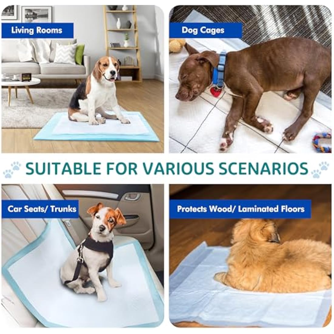 Discount Seller Puppy Training Pads 50 Packs (60x60cm) Multi-Layered Puppy Pads and Highly Absorbent Odour Locking Dog Pads—Anti-Slip and Disposable Incontinence Pads & Pee Pads for Dogs