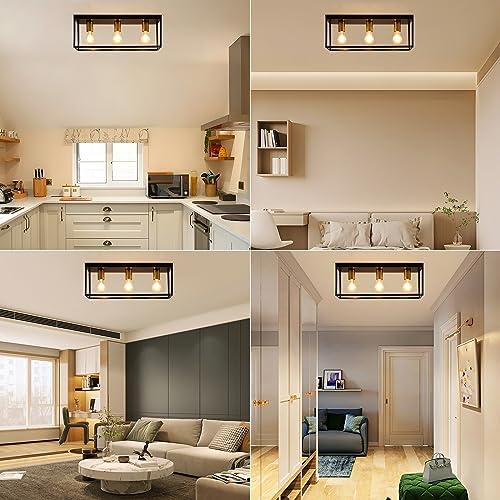 3 Lights Black Ceiling Lights, Flush Mount Modern Industrial Ceiling Light E27, LED Metal Cage Ceiling Light Fixture for Bedroom Living Room Kitchen Hallway Staircase max.60W - NO Bulb