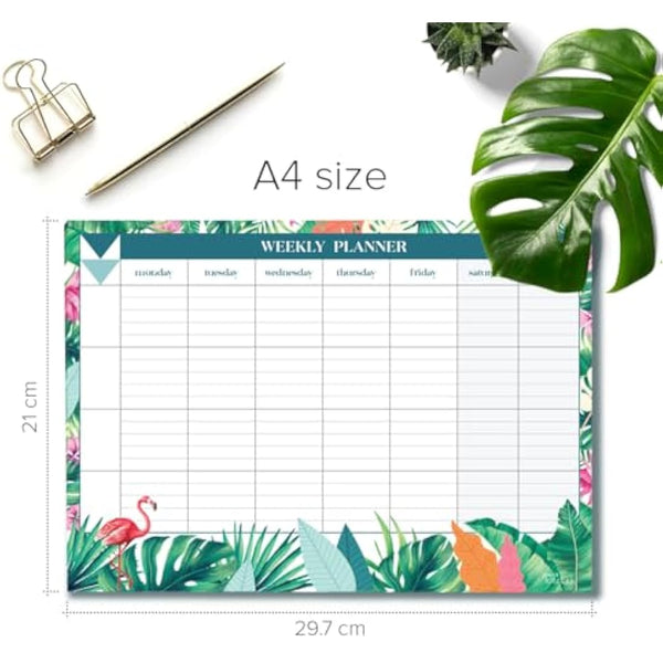 Joeji's Kitchen Weekly Planner Pad Tear Off Sheets 60 Pages A4 Organiser 100 GSM Offset Paper Punched Hole for Hanging Plan Your Weekly Timetable (Aqua)