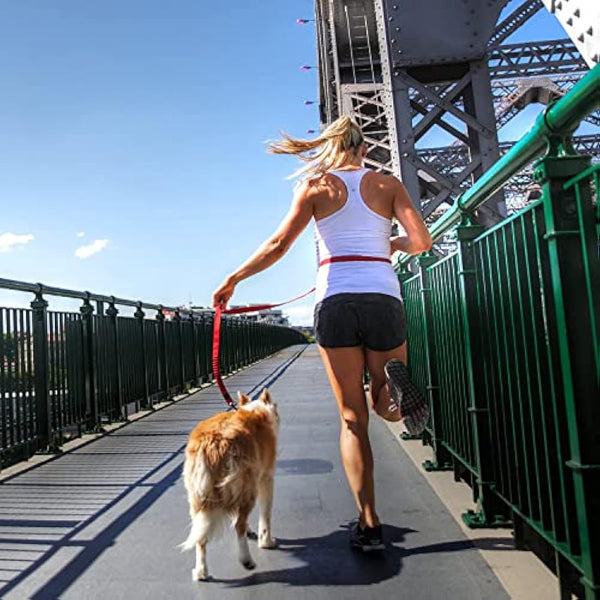 EZYDOG Road Runner Lead - Comfortable Padded Handle, Reflective Thread, 1.8M (Grey) for Small, Medium & Large Dogs