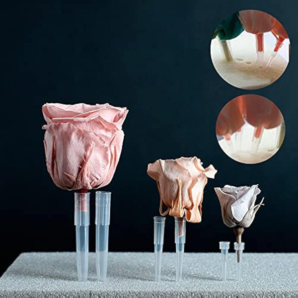 60 Pcs Plastic Flower Tubes - 3 Sizes (S, M, L) Flower Arranging Spikes for Cake Decorating