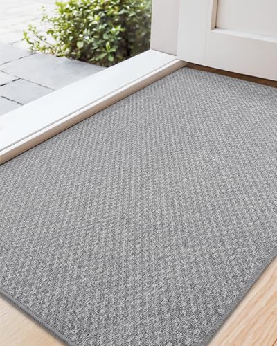 COLOR&GEOMETRY Door Matts Indoor 61 x 92 cm, Thin Indoor Door Mats Non Slip, Absorbent Dirt Trapper Doormat, Outdoor Mats for Front Door, Washable