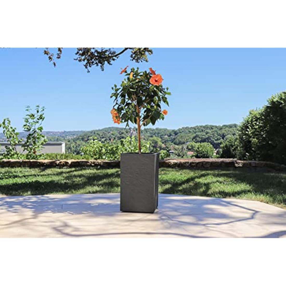 EDA Tall Square Planter, Anthracite Grey, 29,5 x 29,5 x 49,5 cm