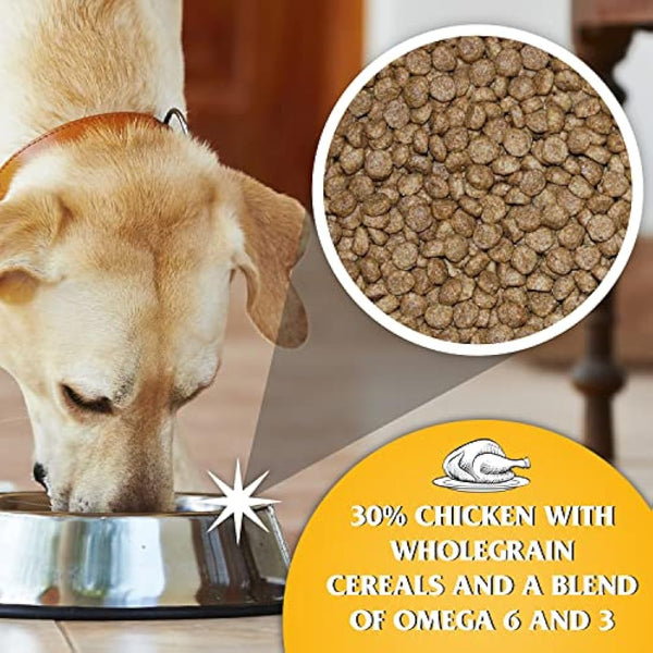Dr John Dry Puppy Food 10kg with Omega-3s - Chicken Recipe - Complete Nutrition for Puppies of Sporting Active Breeds - Junior High Protein Dry Dog Food.