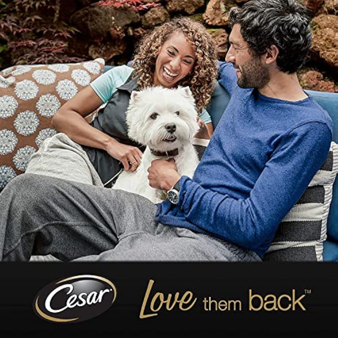 Cesar Country Stew Adult Wet Dog Food, Chicken, Vegetables and Parsley in Gravy 14 x 150 g Trays