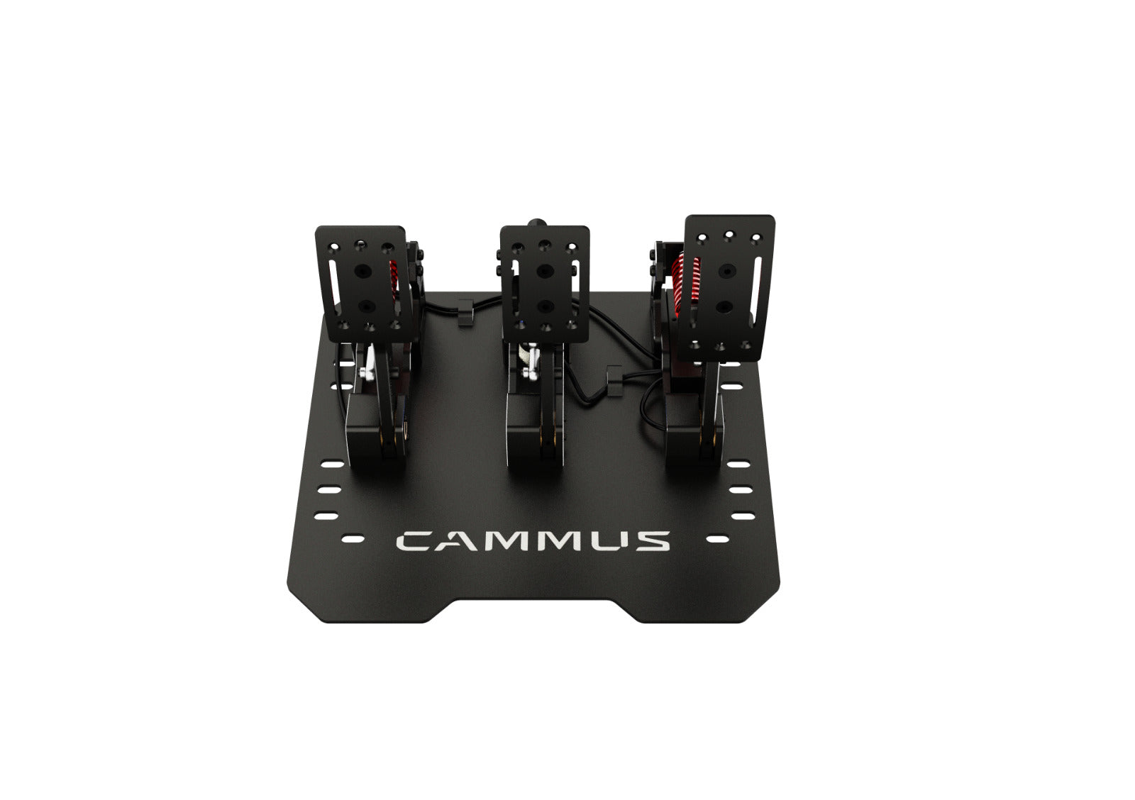 New 2024 Model CAMMUS Direct Drive Racing Wheel Sim Simulator LC100 Pedals Set