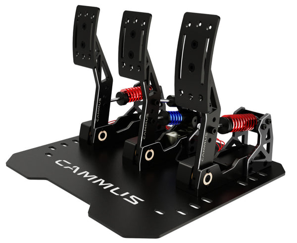 CAMMUS Direct Drive Racing Wheel Sim Simulator LC100 V4 Pedals Metal Pro Edition Pedal Set - 2005 Model - Upgraded with a 200 kg sensor