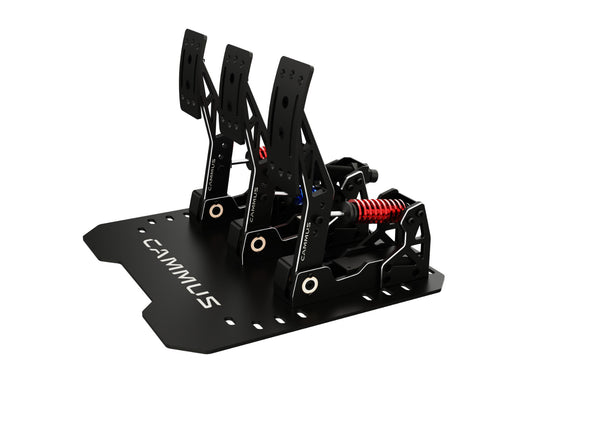 New 2024 Model CAMMUS Direct Drive Racing Wheel Sim Simulator LC100 Pedals Set