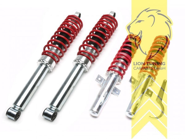 LT TA Technix Lowering Coilovers Kit Ford Escort 5 6 GAL AAL ABL ALL AFL 90-94