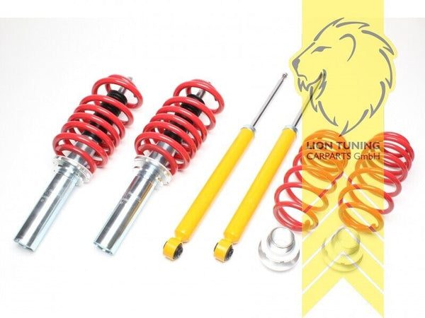 LT TA Technix Lowering Coilovers Audi A4 B8 8K 10-18 Sedan Avant A6 4G