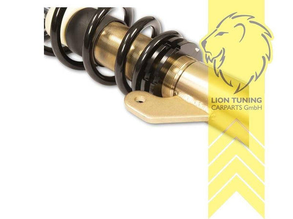 LT DTS Lowering Coilovers BMW 2 Series F23 Cabrio 3 Series F30 Sedan 4 F32 Coupe