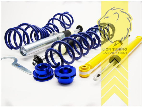 LT  TA-Technix LTC Lowering Sports Coilovers Seat Leon Type 1P 05-12 All Engines