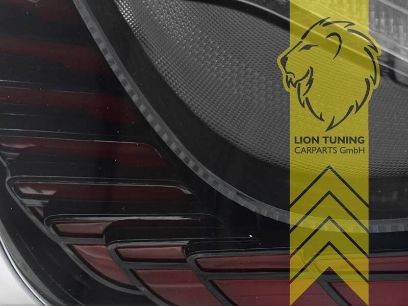 LT Pair LED Lightbar DRL Rear Lights Tail BMW 5 Series F10 Sedan black smoke LHD