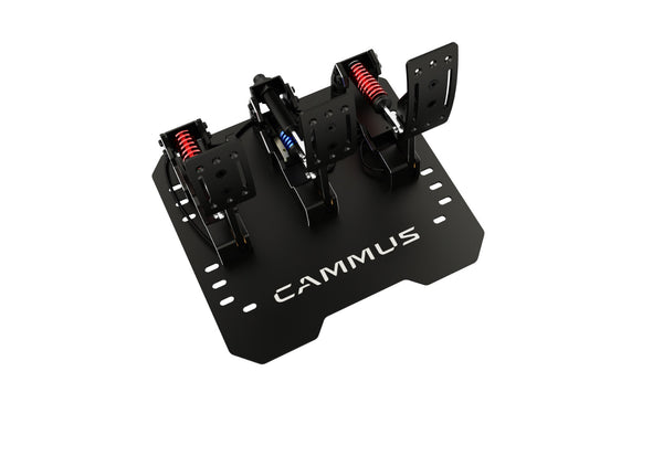 New 2024 Model CAMMUS Direct Drive Racing Wheel Sim Simulator LC100 Pedals Set