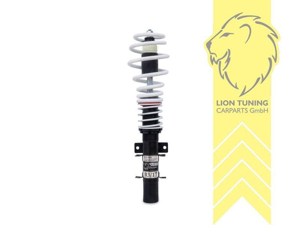 JOM Lowering Coilovers NJT eXtrem Coilover Kit Seat Cordoba Ibiza 6L 02-09 6L1 2