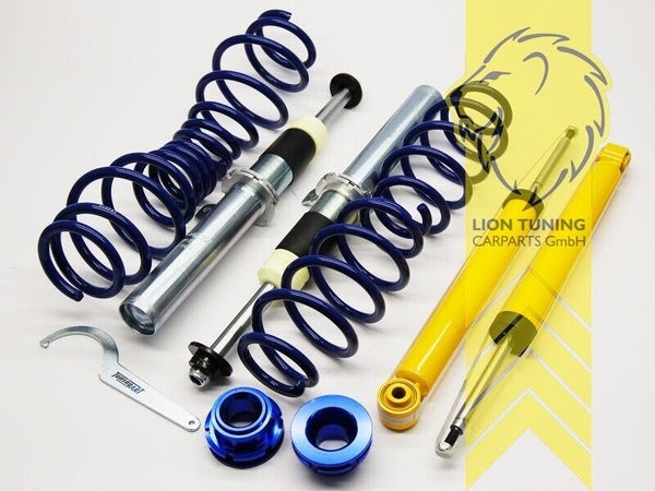 LT TA Technix Lowering Coilovers Audi A3 8P 8PA 03-13 Sports Suspension