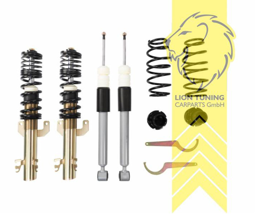 LT DTS Lowering Coilovers Kit Coilover Audi A1 8X Sportback 8XA 11-18