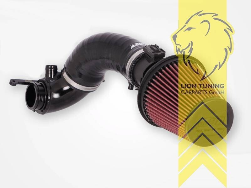 DO88 air filter intake induction Audi A1 GB 40TFSI VW Polo 2G AW GTi 2.0 TSI EA8