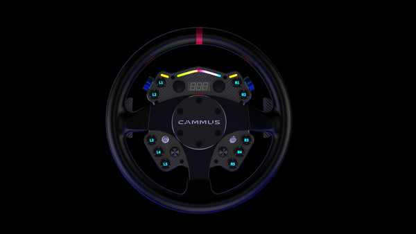 Global First CAMMUS C12 Direct Drive Racing Sim Simulator Steering Wheel Direct Drive Wheelbase PC 12NM LED