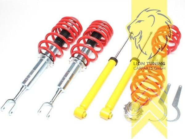 LT TA Technix Lowering Coilovers Audi A4 8E Sedan Avant Cabrio B6 B7 00-09