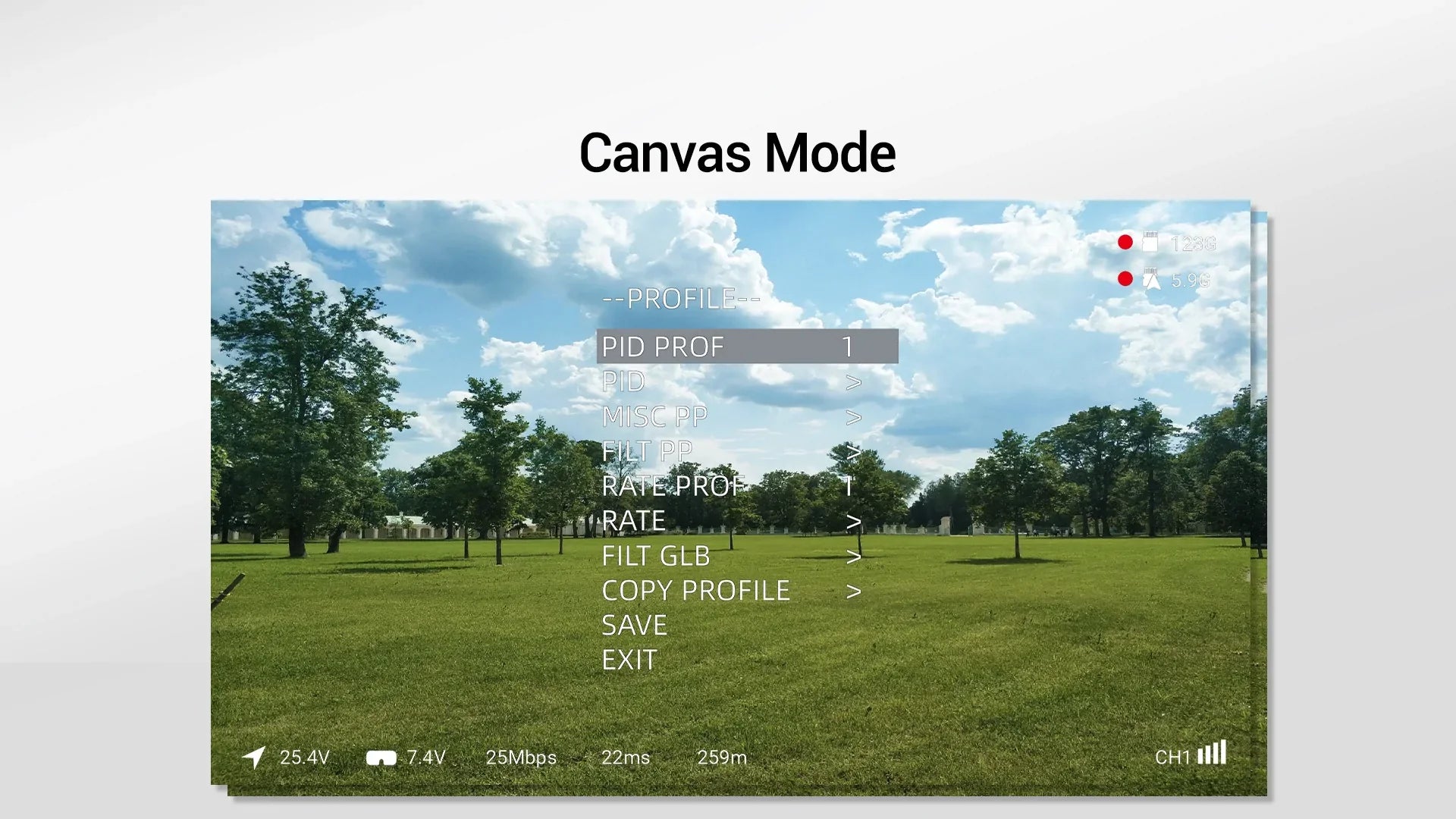 Walksnail Avatar VRX Digital HD FPV Receiver