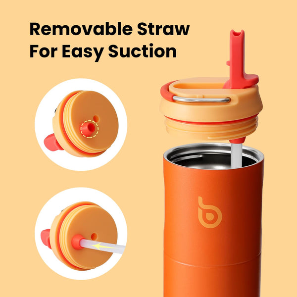 Insulated Water Bottle 700ml(24oz) with Straw, Lid, and Handle - Stainless Steel Sports Travel Gym Bottle for Men and Women (Skiing)