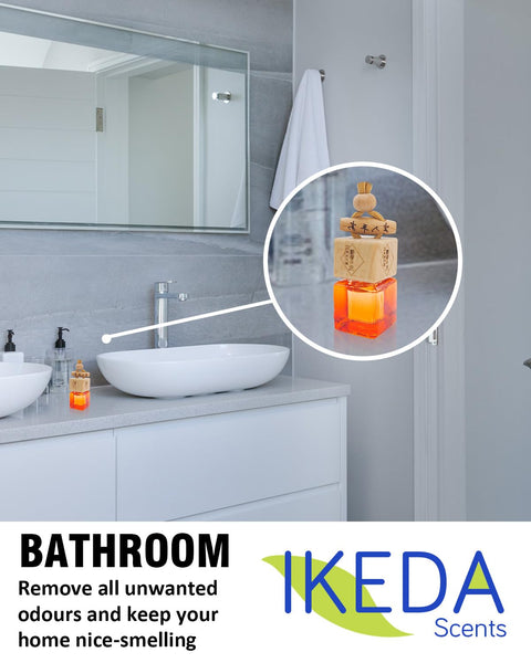 Car Air Fresheners for Men | Air Fresheners with Odour Eliminator Technology | Long Lasting Fragrance Car Accessories for Men | Strong Scents Perfume Diffusers (10ml Dark Night)