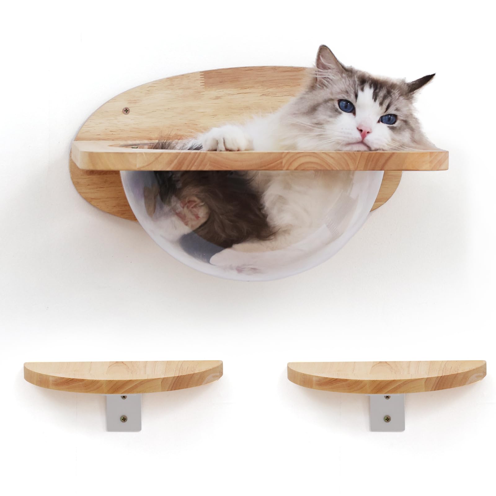 FUKUMARU Cat Wall Furniture Set, Rubber Wood, Transparent Capsule Cat Wall Shelves with 2 PCS Pedals - Premium Kitty Bed for Sleeping, Playing,