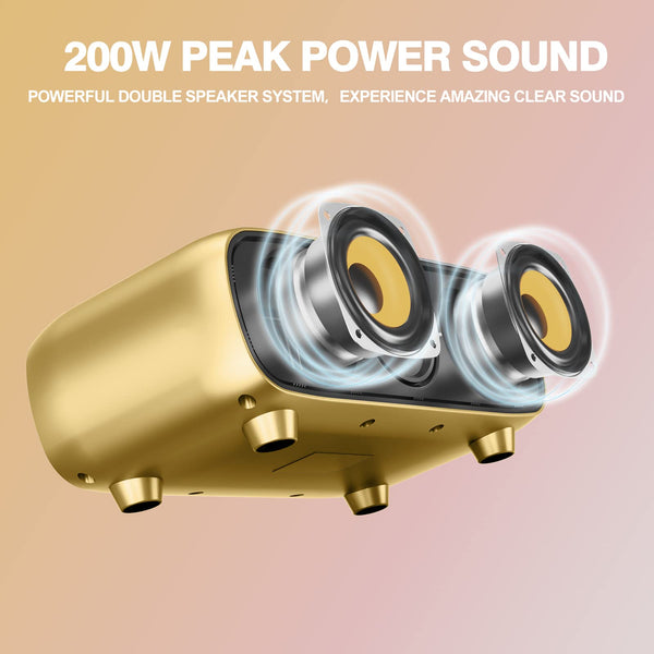 Upgrade Karaoke Machine for Adults and Kids,Portable Bluetooth 2 UHF Wireless Karaoke Microphone with Holder/USB/TF Card/AUX-in,PA Speaker System for Home Party, Picnic,Car,Outdoor/Indoor-Grey